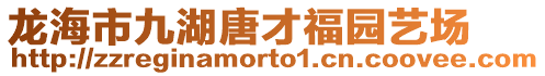 龍海市九湖唐才福園藝場