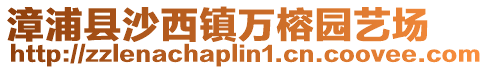 漳浦縣沙西鎮(zhèn)萬榕園藝場