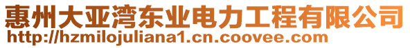 惠州大亞灣東業(yè)電力工程有限公司