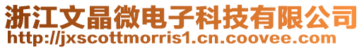 浙江文晶微電子科技有限公司