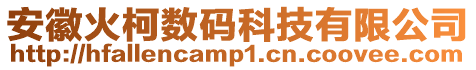 安徽火柯數碼科技有限公司
