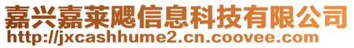 嘉興嘉萊飔信息科技有限公司