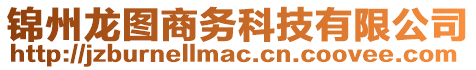 錦州龍圖商務科技有限公司