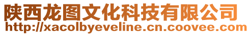 陜西龍圖文化科技有限公司