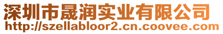 深圳市晟潤(rùn)實(shí)業(yè)有限公司