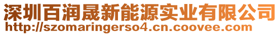 深圳百潤晟新能源實業(yè)有限公司