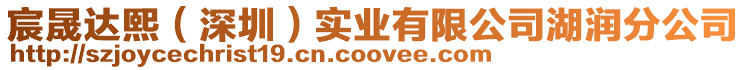 宸晟達(dá)熙(深圳)實業(yè)有限公司湖潤分公司