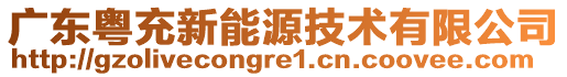 廣東粵充新能源技術(shù)有限公司