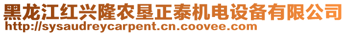 黑龍江紅興隆農墾正泰機電設備有限公司