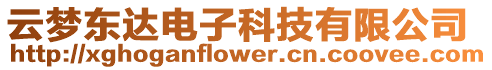 云夢(mèng)東達(dá)電子科技有限公司