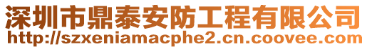 深圳市鼎泰安防工程有限公司