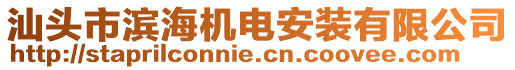 汕頭市濱海機電安裝有限公司