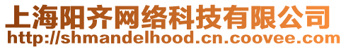 上海陽齊網絡科技有限公司