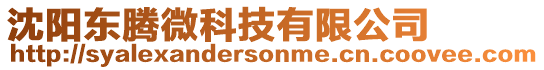 沈陽東騰微科技有限公司