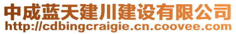 中成藍天建川建設有限公司