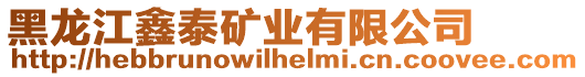 黑龍江鑫泰礦業(yè)有限公司