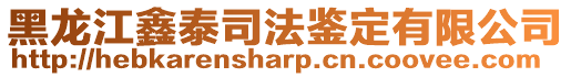 黑龍江鑫泰司法鑒定有限公司