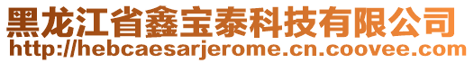 黑龍江省鑫寶泰科技有限公司