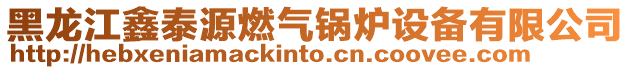 黑龍江鑫泰源燃氣鍋爐設備有限公司