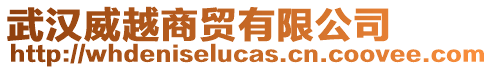 武漢威越商貿(mào)有限公司
