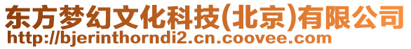 東方夢(mèng)幻文化科技(北京)有限公司