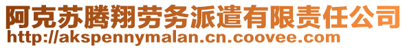 阿克蘇騰翔勞務派遣有限責任公司
