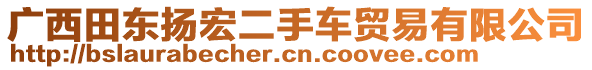 廣西田東揚(yáng)宏二手車貿(mào)易有限公司