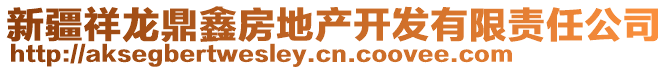 新疆祥龍鼎鑫房地產(chǎn)開發(fā)有限責(zé)任公司