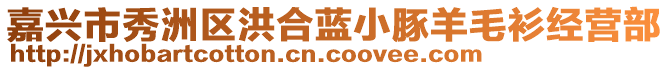 嘉興市秀洲區(qū)洪合藍(lán)小豚羊毛衫經(jīng)營(yíng)部