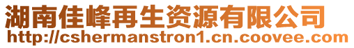 湖南佳峰再生資源有限公司