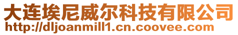 大連埃尼威爾科技有限公司