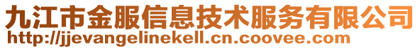 九江市金服信息技術服務有限公司