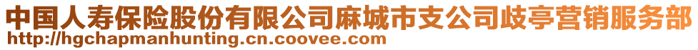 中國(guó)人壽保險(xiǎn)股份有限公司麻城市支公司歧亭營(yíng)銷服務(wù)部