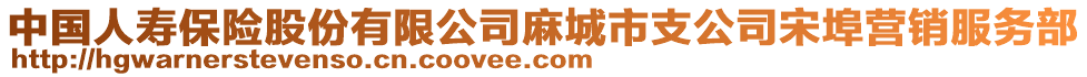 中國人壽保險(xiǎn)股份有限公司麻城市支公司宋埠營銷服務(wù)部