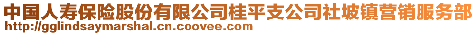 中國人壽保險(xiǎn)股份有限公司桂平支公司社坡鎮(zhèn)營銷服務(wù)部