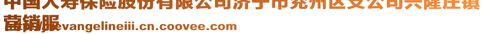 中國人壽保險股份有限公司濟寧市兗州區(qū)支公司興隆莊鎮(zhèn)
營銷服