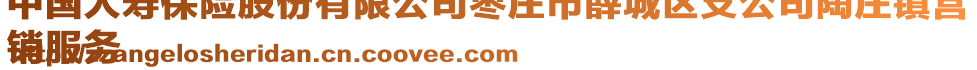 中國人壽保險股份有限公司棗莊市薛城區(qū)支公司陶莊鎮(zhèn)營
銷服務(wù)