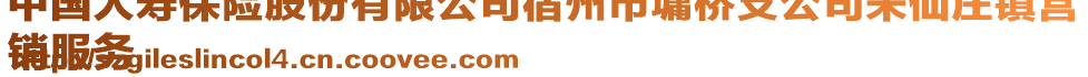 中國人壽保險(xiǎn)股份有限公司宿州市墉橋支公司朱仙莊鎮(zhèn)營
銷服務(wù)