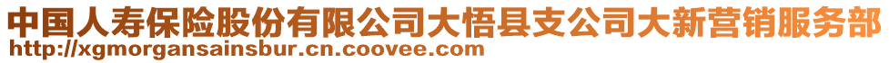 中國人壽保險股份有限公司大悟縣支公司大新營銷服務(wù)部