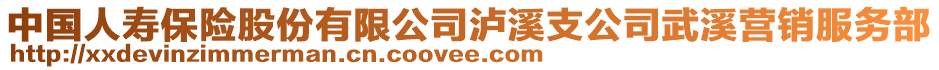 中国人寿保险股份有限公司泸溪支公司武溪营销服务部