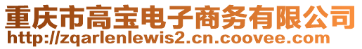 重慶市高寶電子商務(wù)有限公司