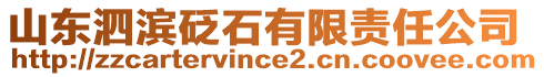 山東泗濱砭石有限責任公司