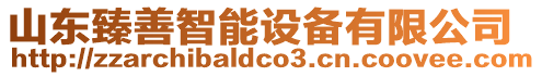 山東臻善智能設備有限公司