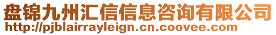 盤錦九州匯信信息咨詢有限公司