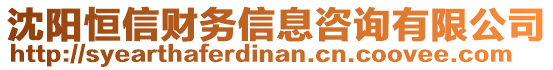 沈陽恒信財務信息咨詢有限公司