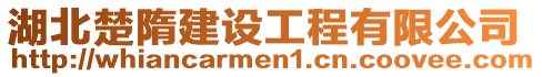 湖北楚隋建設工程有限公司