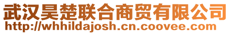 武漢昊楚聯合商貿有限公司