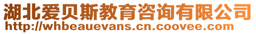 湖北愛貝斯教育咨詢有限公司