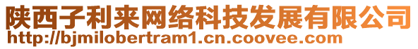 陜西子利來網(wǎng)絡(luò)科技發(fā)展有限公司