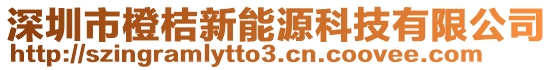 深圳市橙桔新能源科技有限公司